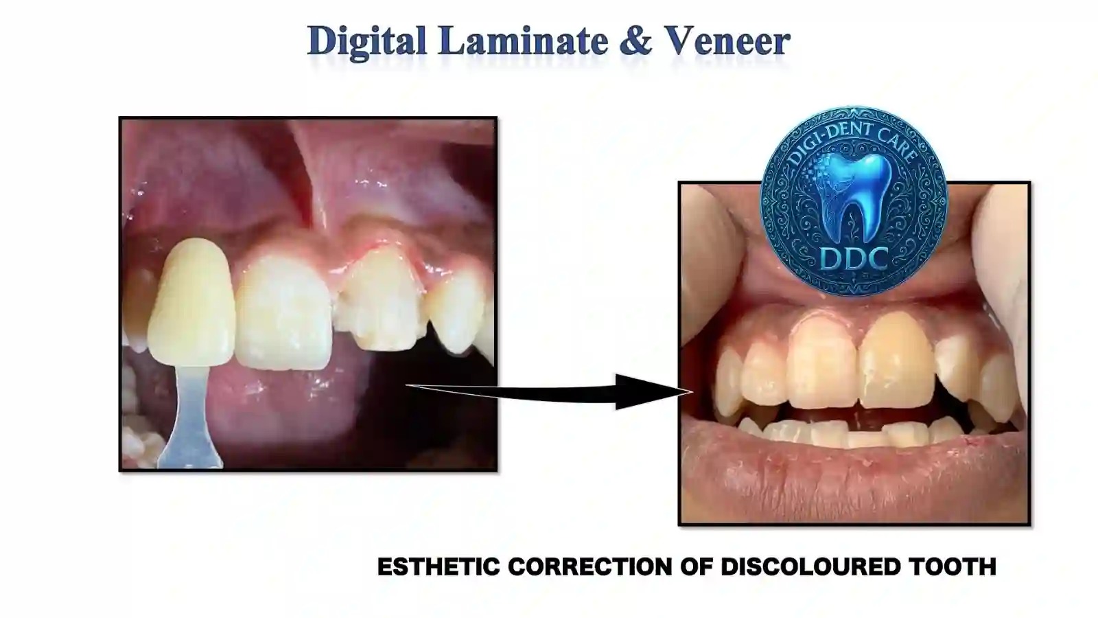 c1e5a0ad-8bfd-4df3-b055-bcd1417e9d06